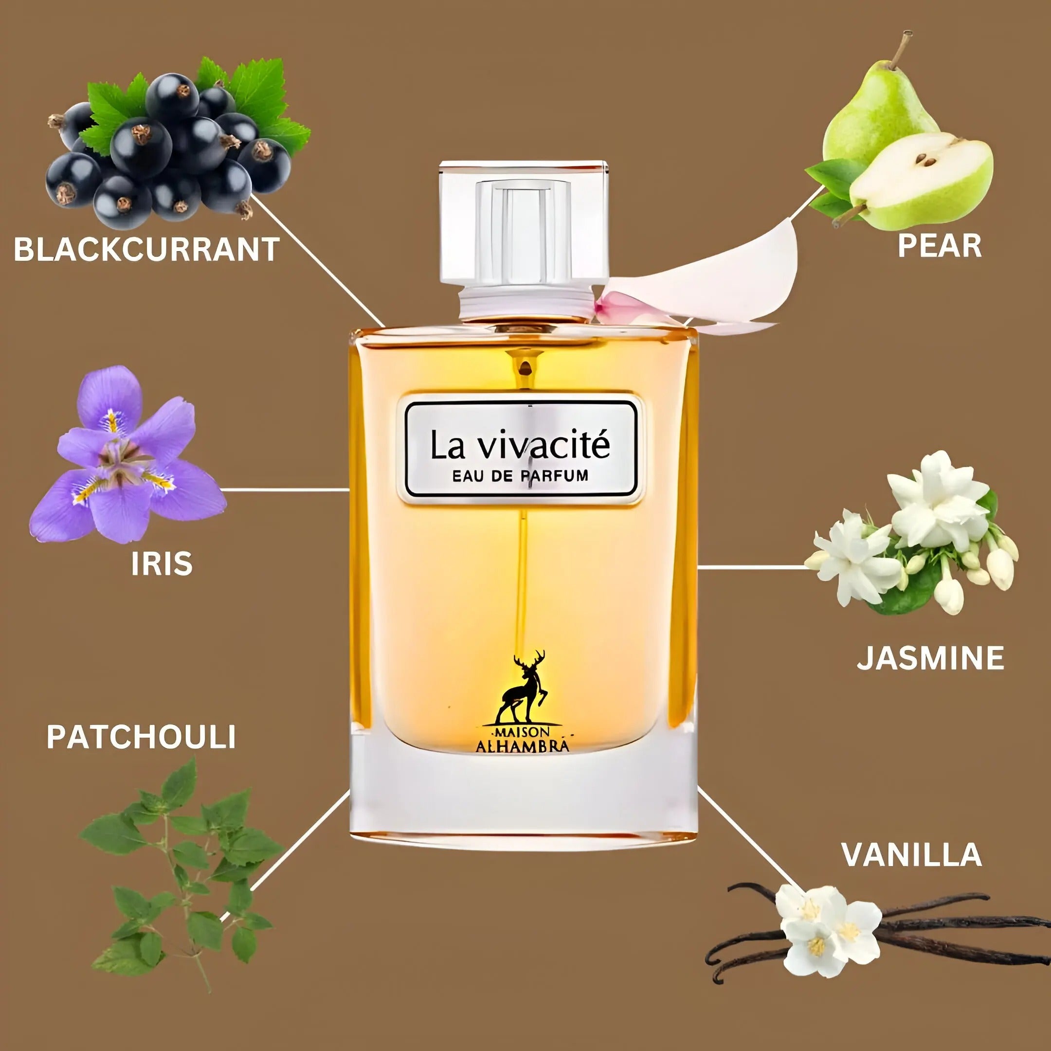 La Vivacité 100ML Maison Alhambra