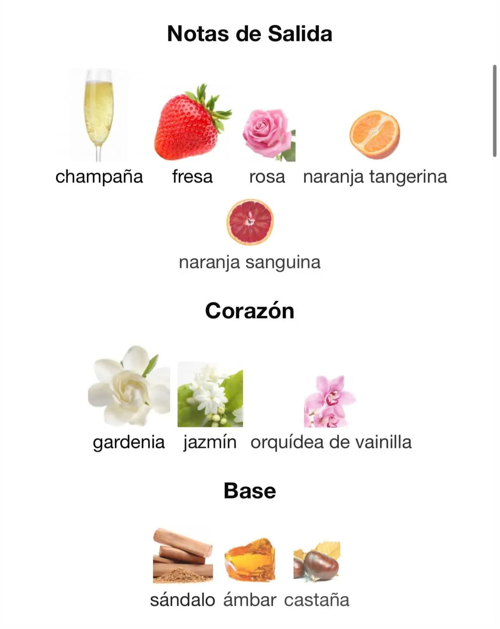 Perfume Haya Lattafa 100ml