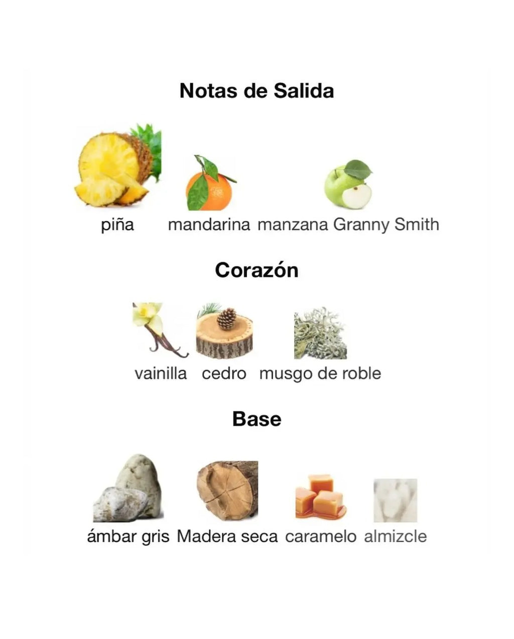 Afnan 9pm Rebel 100 ml Edp