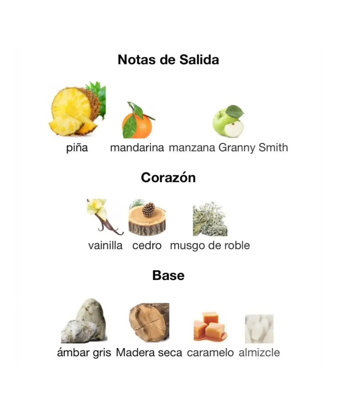 Afnan 9pm Rebel 100 ml Edp