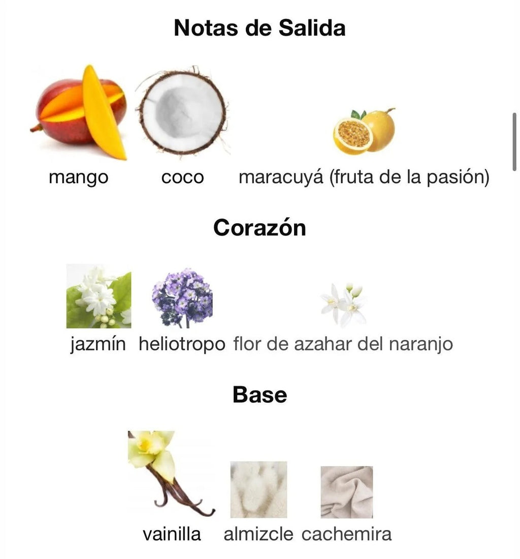 Yara Tous Lattafa (ORIGINAL)