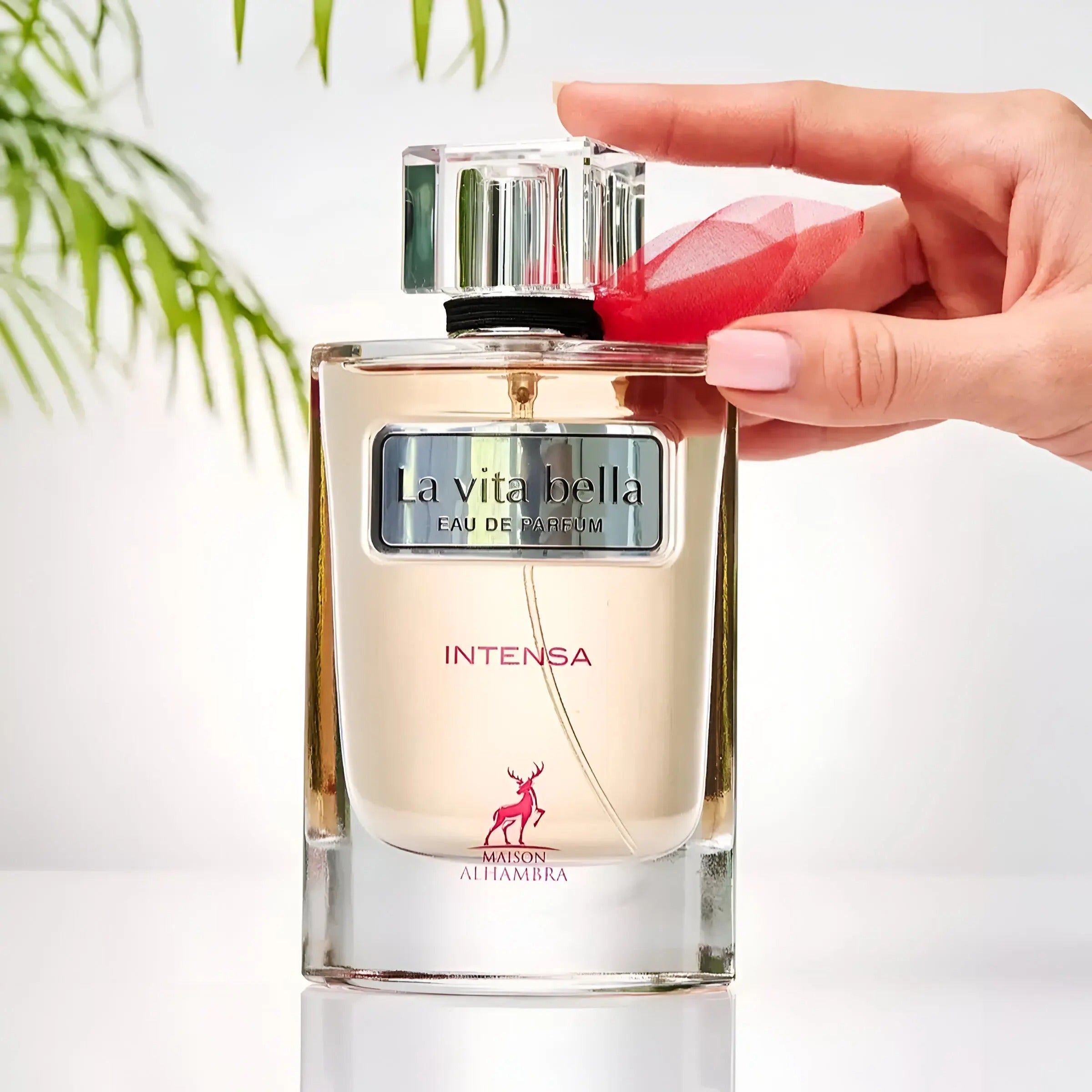 La Vivacité INTENSA 100ml Maison Alhambra