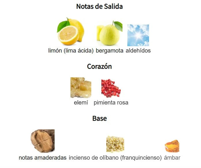 Dark Door Sport Maison Alhambra 100ml