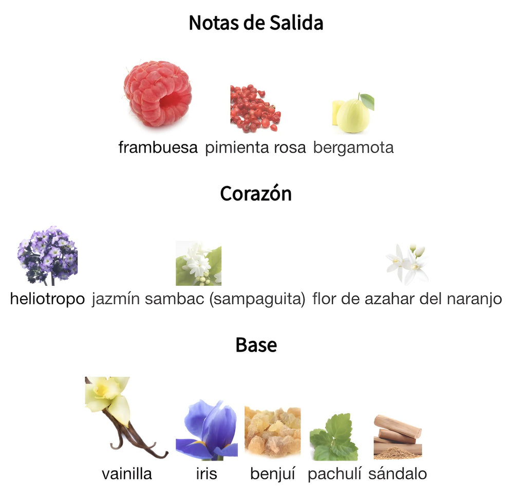 La Vivacité INTENSA 100ml Maison Alhambra